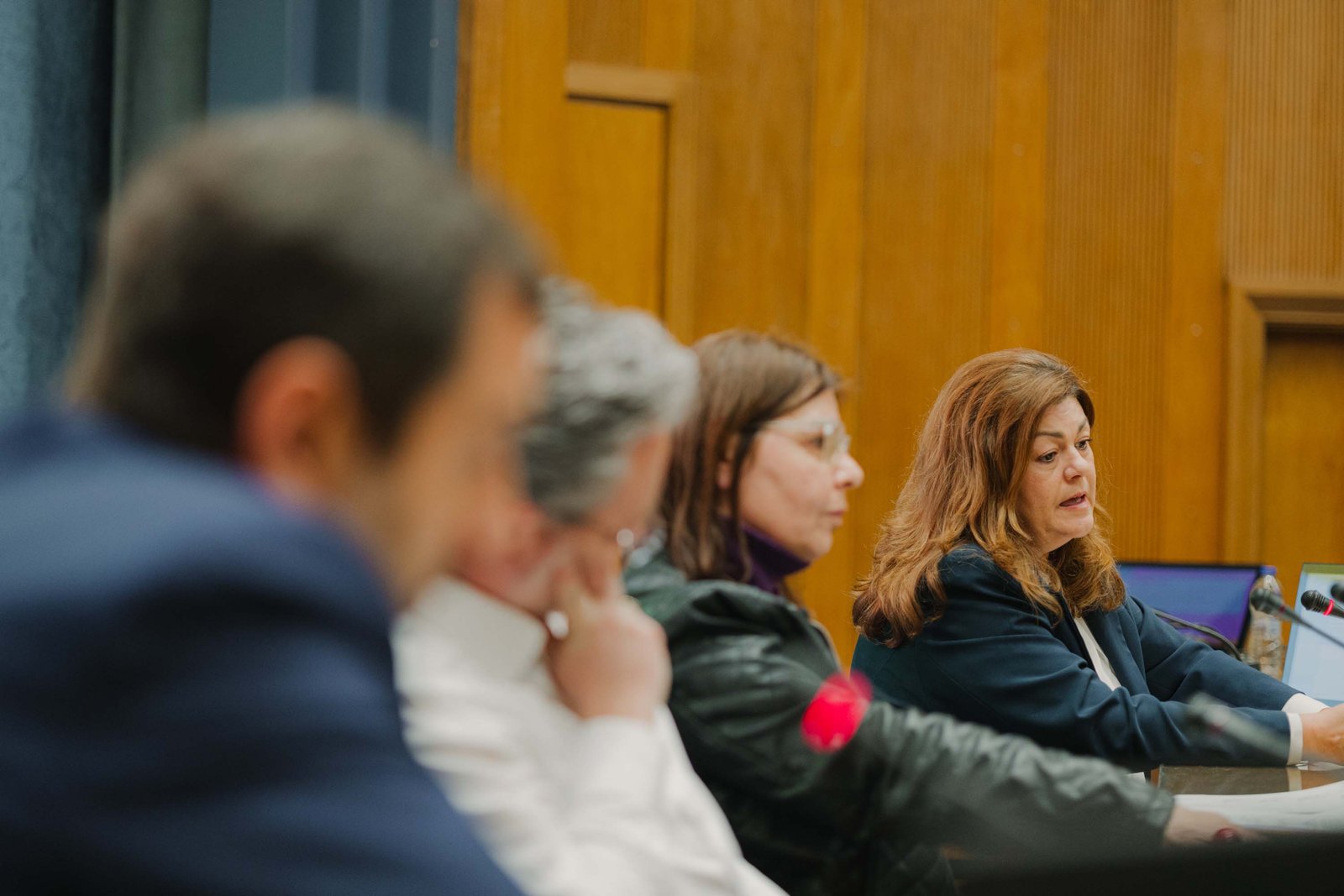 Panelists in discussion